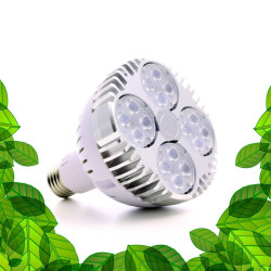 SpectraBULB X20 - Ampoule horticole blanche pour plantes vertes