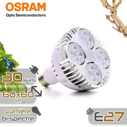 SpectraBULB X20 - Ampoule horticole blanche pour plantes vertes