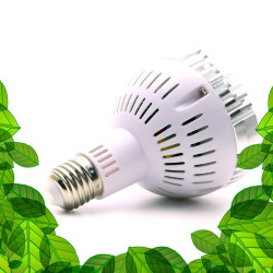 SpectraBULB X20 - Ampoule horticole blanche pour plantes vertes