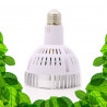 SpectraBULB X30 - Witte tuinbouwbol voor groene planten