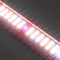 SpectraB.2.G X45 60cm - LED tuinbouwbalk voor groei & bloei