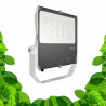 100W LED tuinbouwlamp - GVL SPOT V4 - Verlichting voor groene planten en plantenwanden