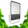 200W LED tuinbouwlamp - GVL SPOT V4 - Verlichting voor groene planten en plantenwanden