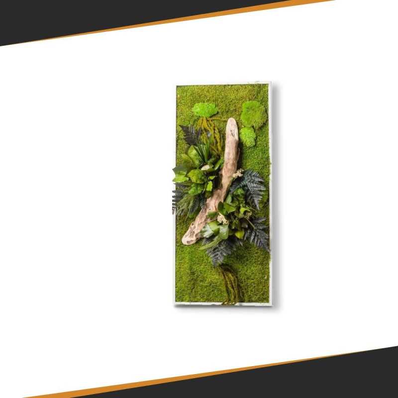 Stabilized Plant Frame - Rectangle Size L