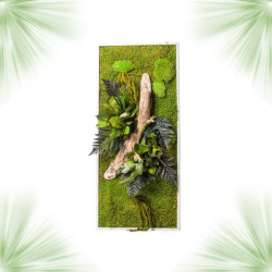 Stabilized Plant Frame - Rectangle Size L