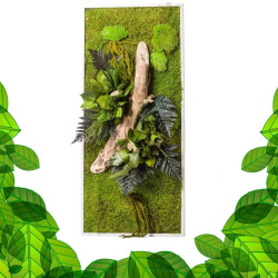 Cadre Végétal Stabilisé - Rectangle Taille L
