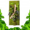 Stabilized Plant Frame - Rectangle Size L