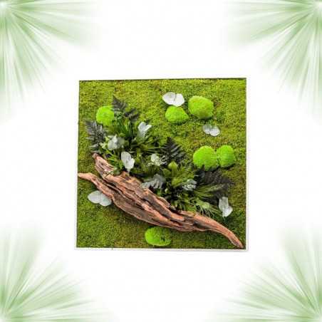 Gestabiliseerd Plantenframe - Vierkant Maat XL