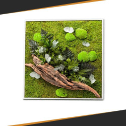 Stabilized Plant Frame - Square Size XL