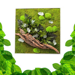 Gestabiliseerd Plantenframe - Vierkant Maat XL