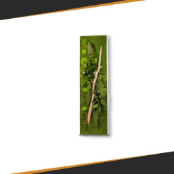 Cadre Végétal Stabilisé - Rectangle Taille XL