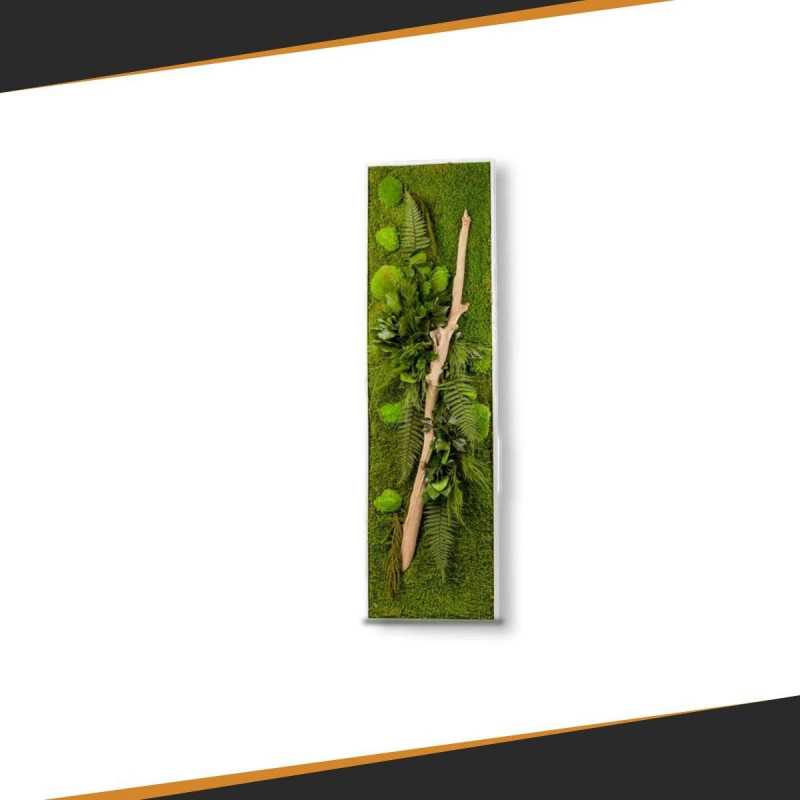 Stabilized Plant Frame - Rectangle Size XL