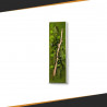 Stabilized Plant Frame - Rectangle Size XL