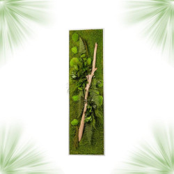 Stabilized Plant Frame - Rectangle Size XL