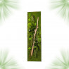 Stabilized Plant Frame - Rectangle Size XL