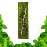 Gestabiliseerd Plantenframe - Rechthoek Maat XL