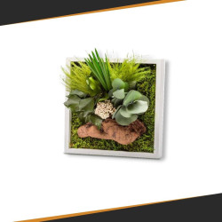 Gestabiliseerd plantenframe - Miniformaat