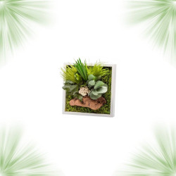 Gestabiliseerd plantenframe - Miniformaat