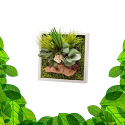 Gestabiliseerd plantenframe - Miniformaat