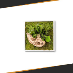 Gestabiliseerd Plantenframe - Vierkant Maat M