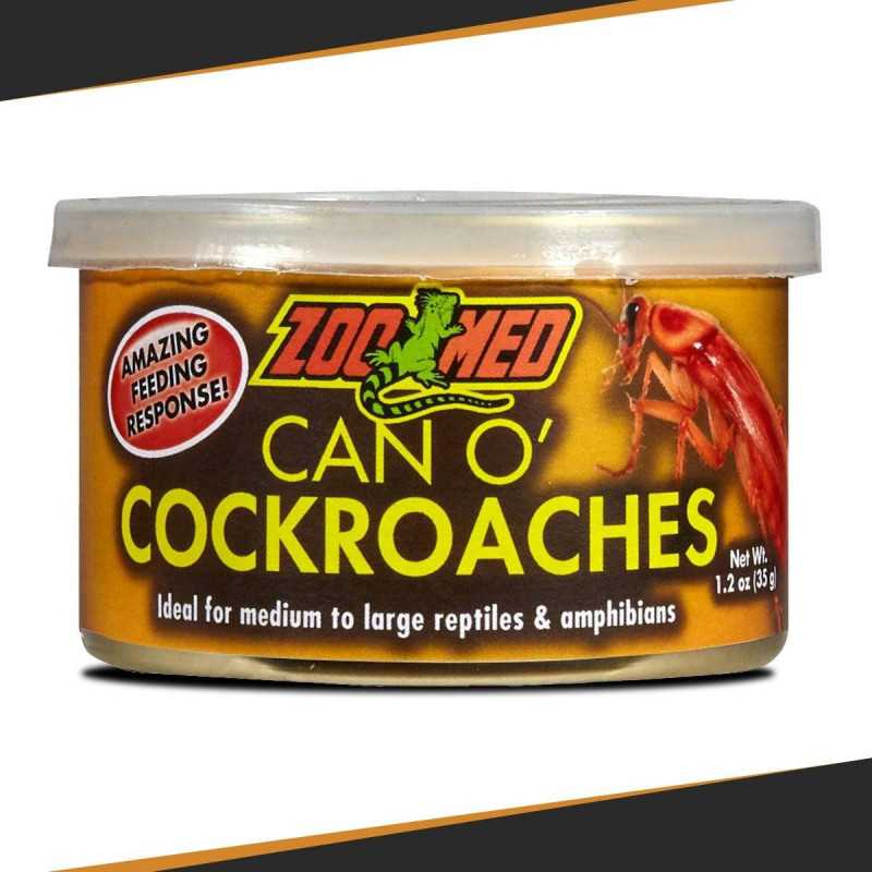 Nourriture Can O’ cockoaches insectes pour reptile 35g
