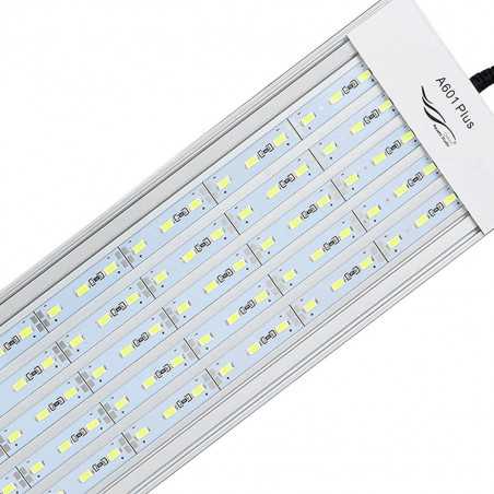 A-series Chihiros (free dimmer)