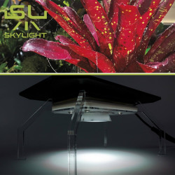 Éclairage spot LED pour terrarium MIDSPOT Skylight SKYLIGHT - 2