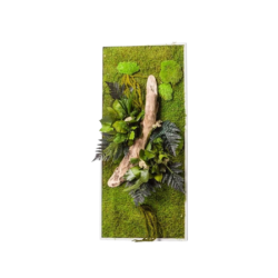 Stabilized Vegetable Frame 90x40cm