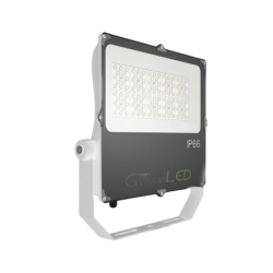 100W LED horticultural lamp - GVL SPOT V4 IP66