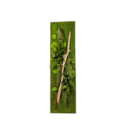 Stabilized Vegetable Frame 140x40cm