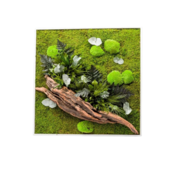 Gestabiliseerd Plantenframe 80x80cm