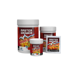 Massive BLOOM bloeibooster - Hydropassion