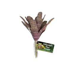 Artificial plant Chestnut Bromeliad - 14 cm - ZOOMED