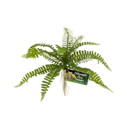 Zwaardvaren kunstplant - 13 cm - GEZOOMD