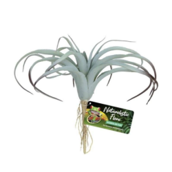 Artificial plant Tillandsia Air - 30 cm - ZOOMED