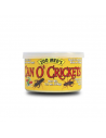 Grillons en Conserve 35g pour Reptiles | Zoomed Can'O Cricket | TerraLED