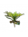 Künstliche Hirschhornfarnpflanze 24 cm – ZOOMED