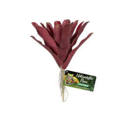 Kunstplant Bromelia fireball 14 cm - GEZOOMD