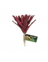 Artificial plant Bromeliad fireball 14 cm - ZOOMED