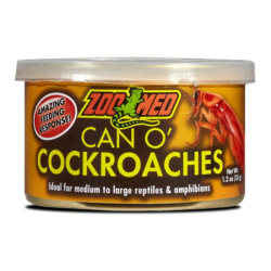 Kakerlaken in Dosen für Reptilien – Can O‘ Cockroaches – 35 g – ZOOMED