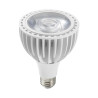 SpectraBULB X20 – Weiße Gartenzwiebel für Grünpflanzen