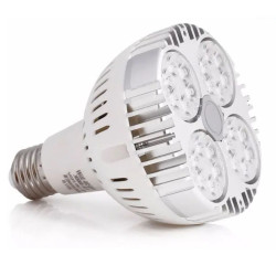 SpectraBULB X30 - Witte LED-tuinbouwlamp voor terrariums - 30W - OSRAM LED's - E27