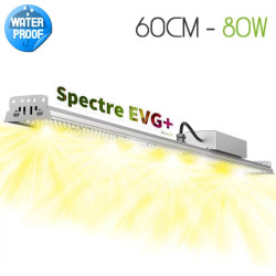 XModule 80W 60CM - LED-tuinbouwbar