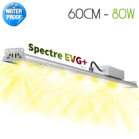 XModule 80W 60CM - LED-tuinbouwbar