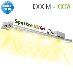 XModule 100W 100CM - LED Horticultural Bar