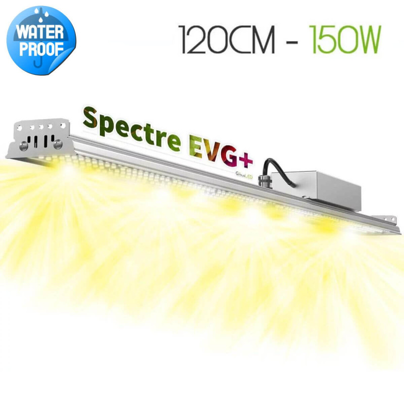 XModule 150W 120CM - LED Horticultural Bar
