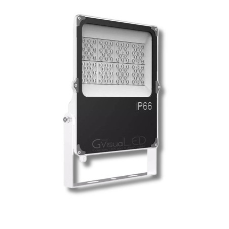 50W LED tuinbouwlamp - GVL SPOT V4 IP66