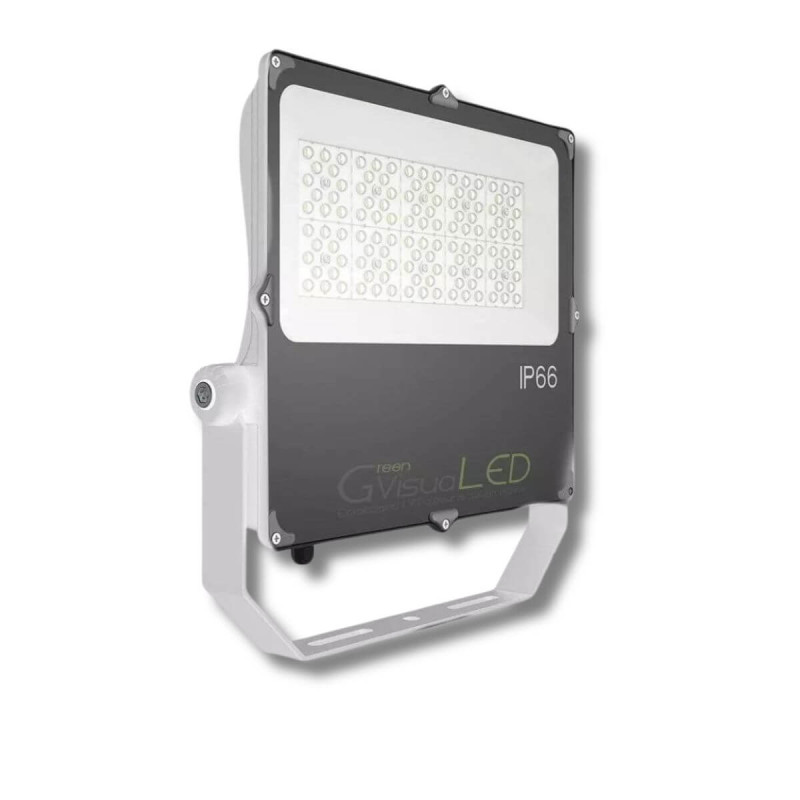 100W LED tuinbouwlamp - GVL SPOT V4 IP66