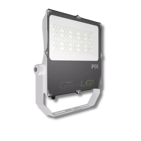 100W LED tuinbouwlamp - GVL SPOT V4 IP66