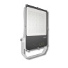 200W LED-Gartenbaulampe - GVL SPOT V4 IP66